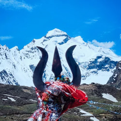 Adi Kailash Yatra Tours